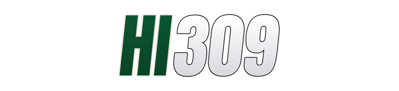 hi309